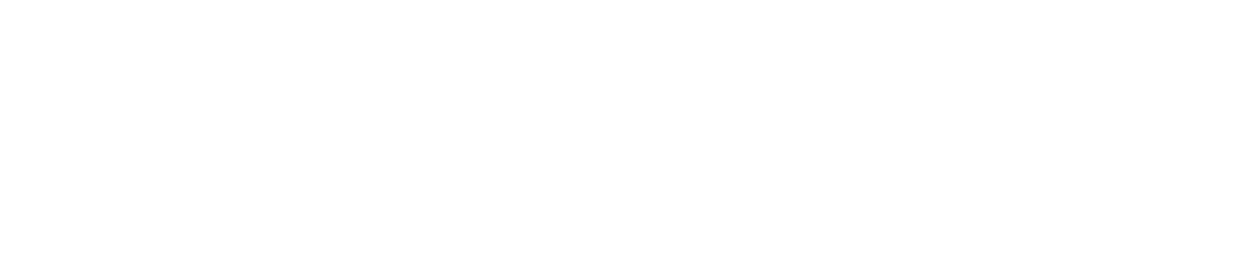 WDA Automotive Marketing